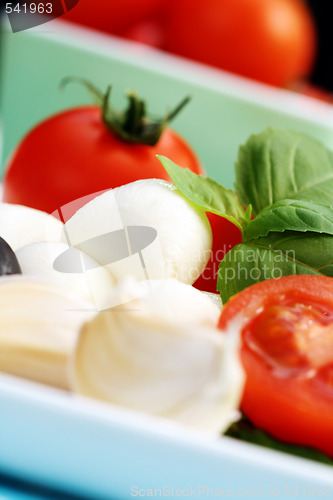 Image of mozzarella and cherry tomatoes