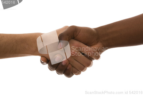 Image of multirracial handshake
