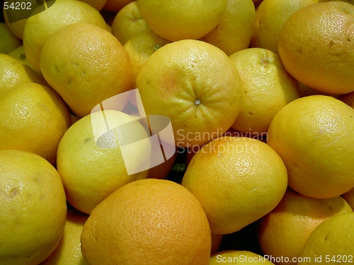 Image of grapefruit