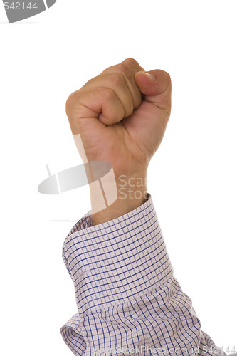 Image of The fist