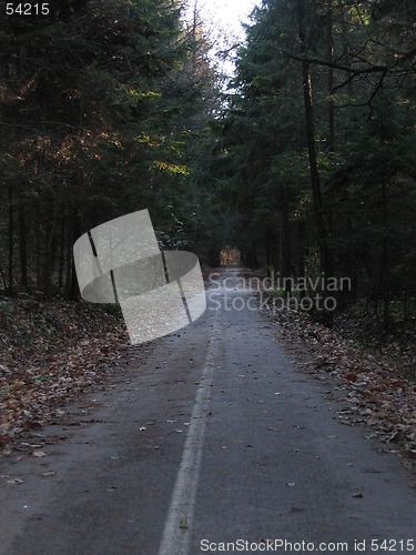 Image of wood road-