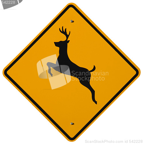 Image of Deer Crossing
