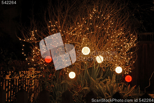 Image of Christmas lights