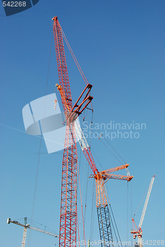 Image of Cranes