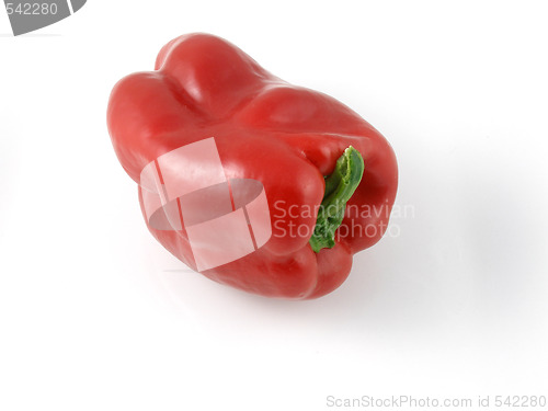 Image of Pepper