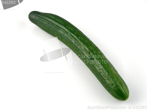 Image of Cucumber