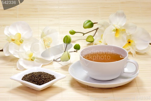 Image of Cup of green tea