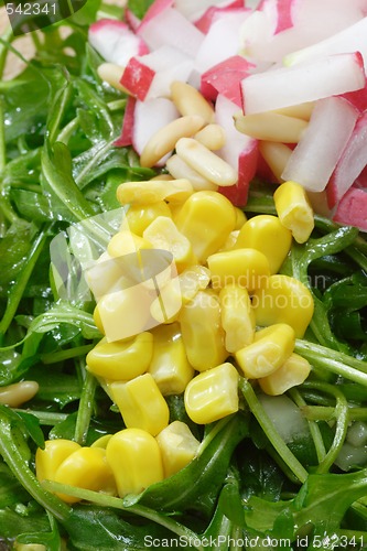 Image of Rocket