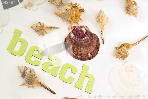 Image of Beach Concept