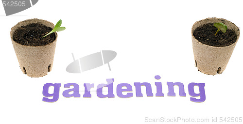 Image of Gardening Concept