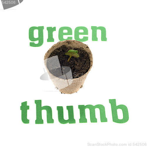 Image of Green Thumb