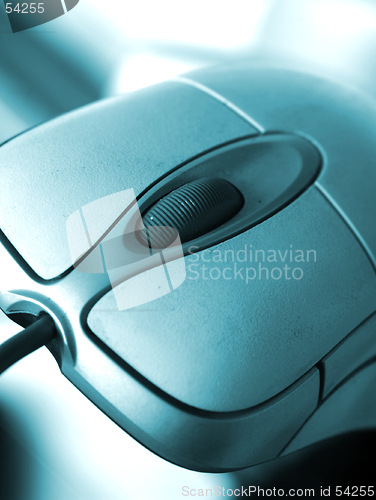 Image of Mouse