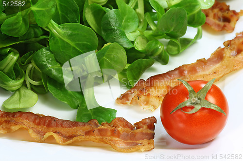 Image of Field salad