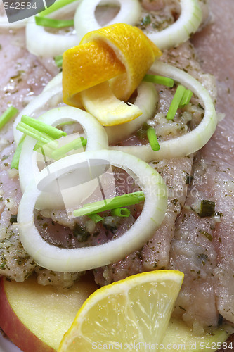 Image of Fresh herring