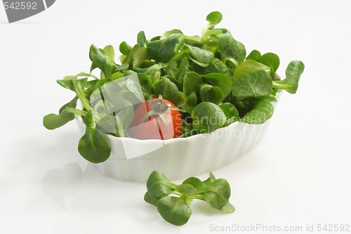Image of Corn salad