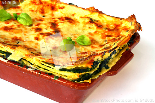 Image of Vegetarian lasagna with ricotta cheese spinach filling 