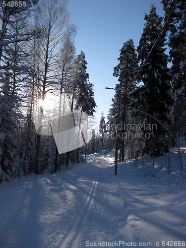 Image of sun on the skitracks