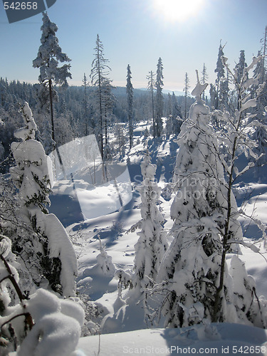 Image of beautiful cold winter day