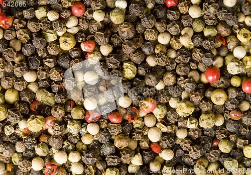 Image of Pepper of Four Colours