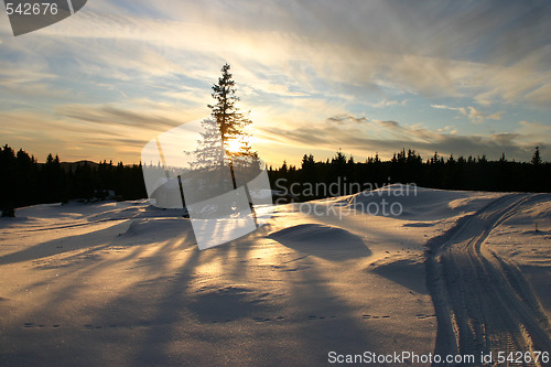 Image of christmas sunset