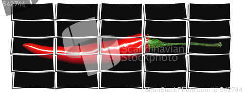 Image of red chili pepper collage