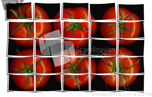 Image of tomato puzzle collage 