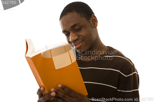 Image of Reading