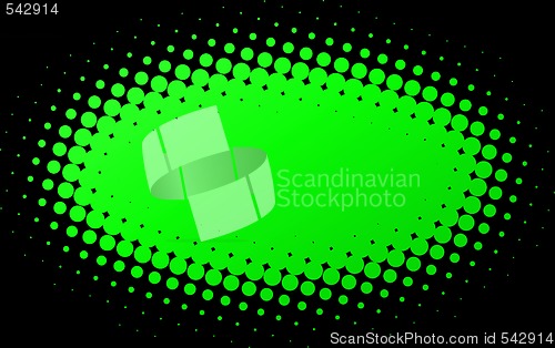 Image of Spotted Flash
