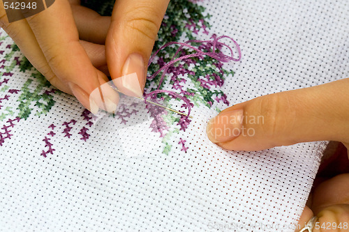 Image of Fine needlework