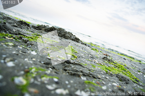 Image of Summertime at the beach.