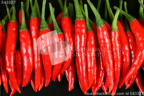 Image of Red chilli peppers.