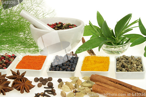 Image of Spices and herbs.