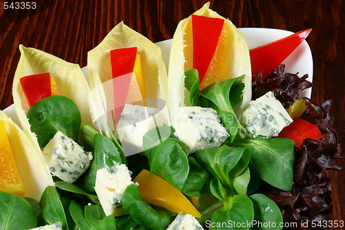 Image of Vegetable salad and roquefort 