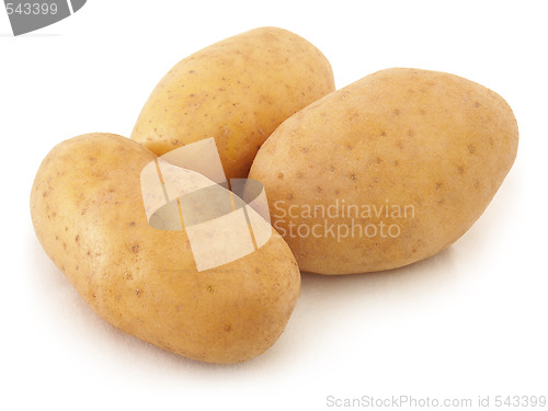 Image of Potatoes