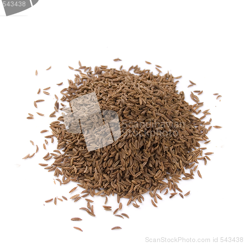 Image of dried caraway