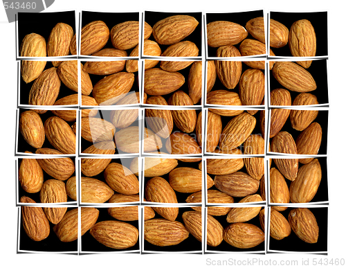 Image of almonds collage 