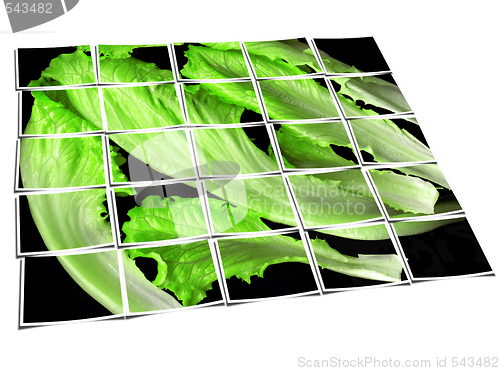 Image of lettuce leaves collage