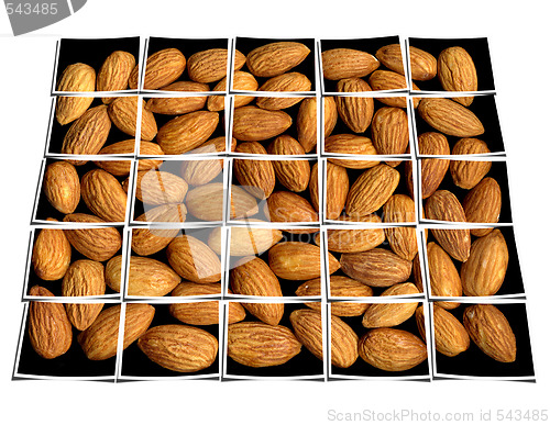 Image of almonds collage 