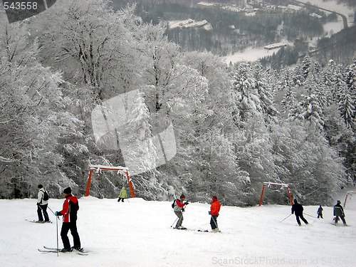 Image of Skiers on sloap