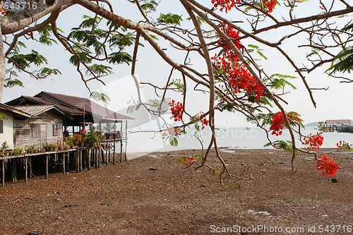 Image of Koh Lanta in Thailand.