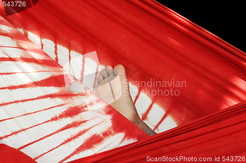 Image of Hammock