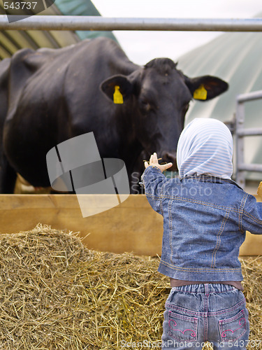 Image of girl with no fear