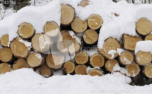 Image of Norwegian timber in the snow