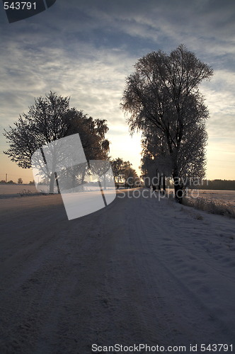 Image of Winter scene