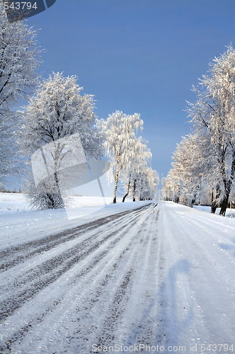 Image of Winter scene