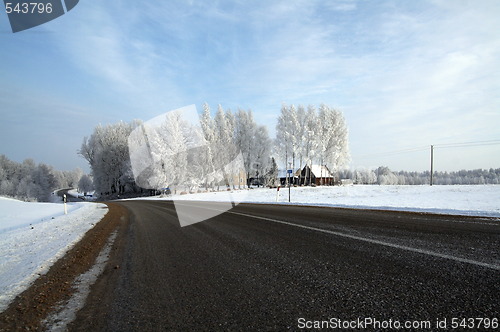 Image of Winter scene