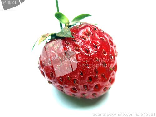 Image of strawberry