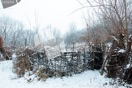 Image of Rural winter landscape