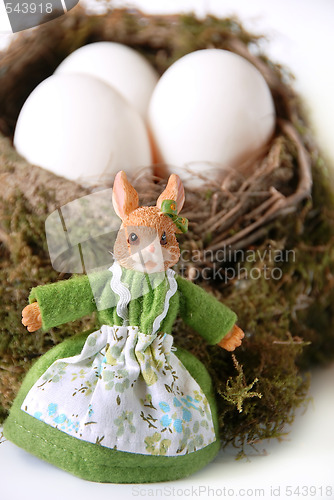 Image of Easter rabbit