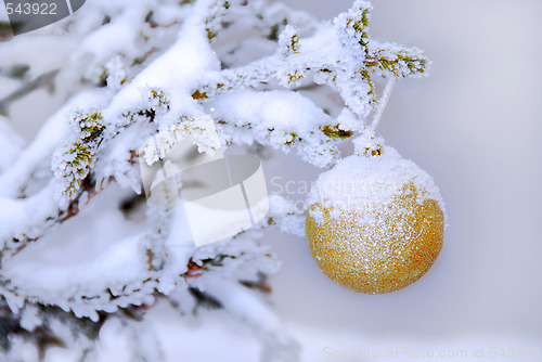 Image of Christmas ball